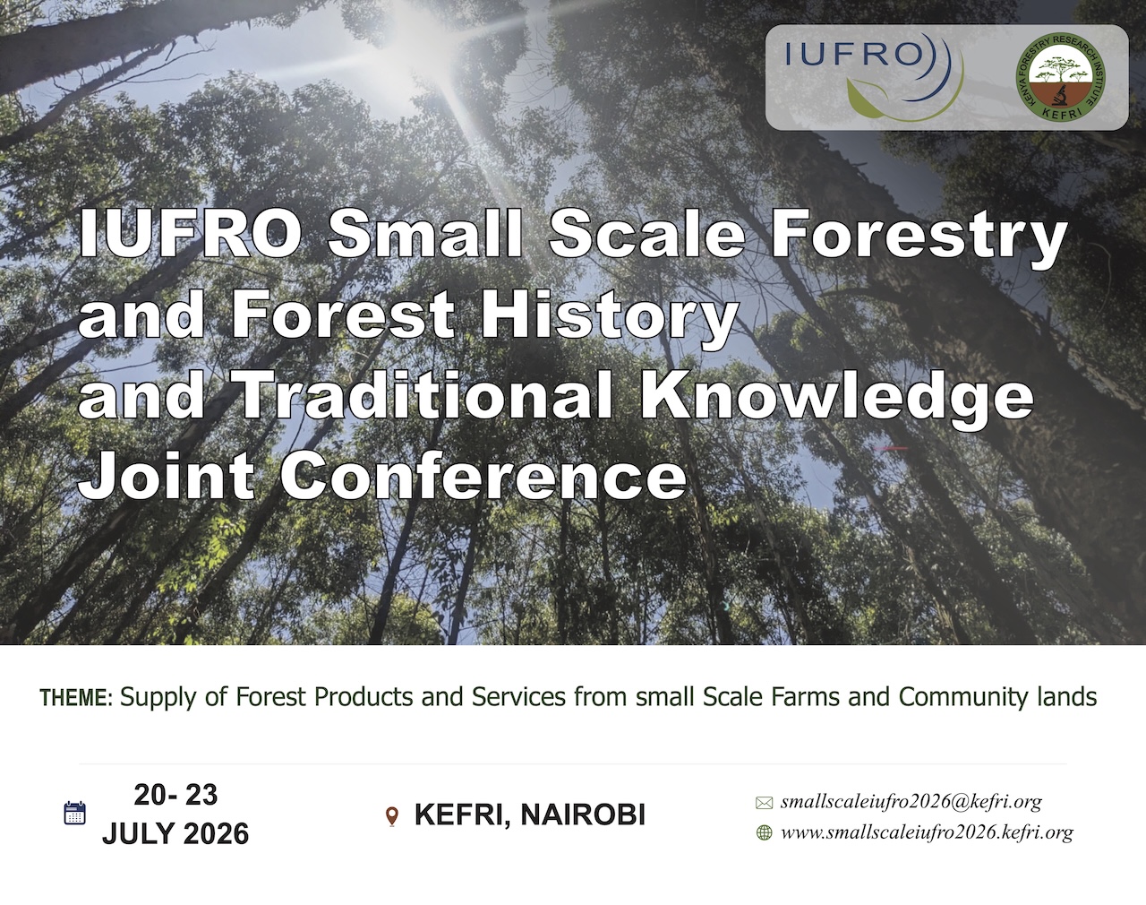 commercial tree investment